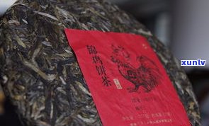 什么普洱茶适合长期存放？了解不同普洱茶的存储特性与更佳年限