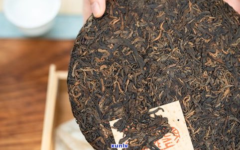 探究小勐峨古树茶的独特特点与香气