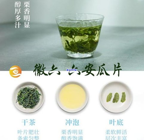 南昌名茶品牌大全：盘点江西南昌知名茶叶品牌