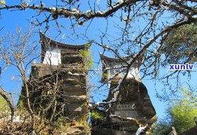 石洞寺普洱茶口感-云南石洞寺