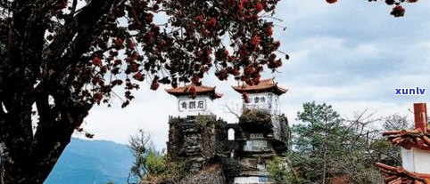 石洞寺普洱茶口感-云南石洞寺