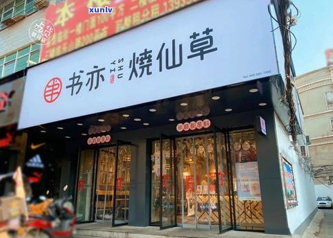 温州有名的茶叶：品种、店铺与企业一览