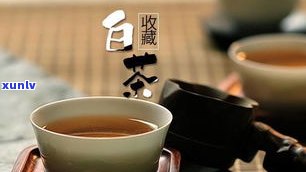 腹胀能喝普洱茶吗-腹胀能喝普洱茶吗女性