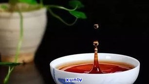 格朗和普洱茶特点-格朗和普洱茶特点区别