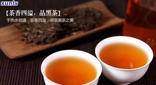 普洱茶与药物同服的影响：是否可行？