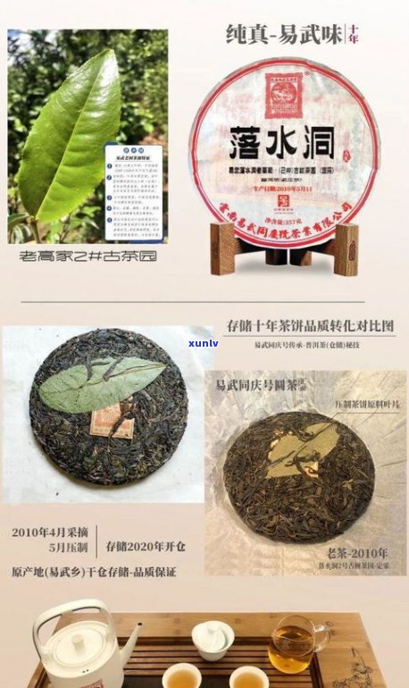 普洱茶与药物同服是不是安全？作用因素有哪些？