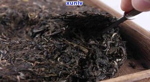 徐家寨普洱茶特点-徐家寨在哪里