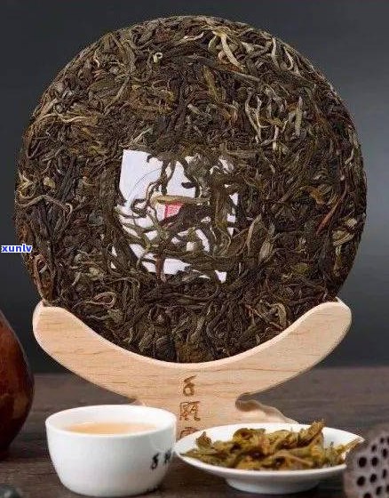 徐家寨普洱茶特点-徐家寨在哪里