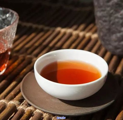 普洱茶属于哪一类茶？详解其种类与分类