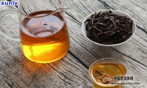 普洱茶属于哪一类茶？详解其种类与分类