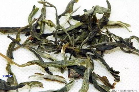 普洱茶叶属哪类茶-普洱茶叶属哪类茶种