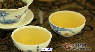 普洱茶小户赛：品种、价格与特点全解析