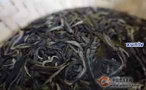 普洱生茶怎样快速转化为成熟茶？