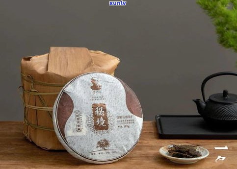 临沧普洱茶工艺品：品种、品牌与地方一览