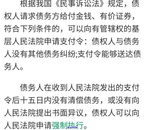 ：协商分期还款方法的可能性