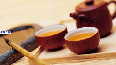 普洱茶基本资料书-普洱茶详细资料