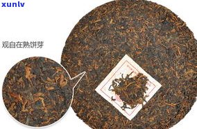 如何选纯料普洱茶：好坏区别、品牌推荐与概念解析