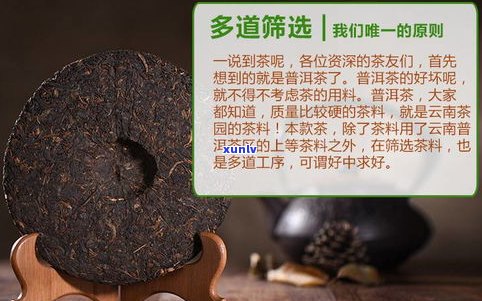 什么叫纯料普洱？详解纯料普洱、纯料普洱茶、纯料普洱熟茶及其特点