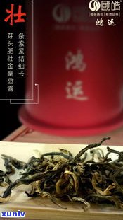 三园溪茗茶普洱茶价格表及怎么样，古树红茶礼盒价格一览