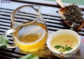 不属于普洱茶级别-不属于普洱茶级别的是