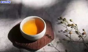 秋分喝什么茶好？选择适合自己的茶叶，让你在秋天感受温暖与舒适。