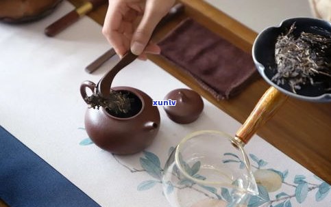 一饼普洱茶需多少新鲜茶、毛料及 *** 过程，可冲泡多少次？