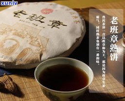 普洱茶一次买两饼-一饼普洱茶可以泡几次