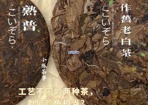 普洱茶外观：颜色、形状与陈化过程的关系研究