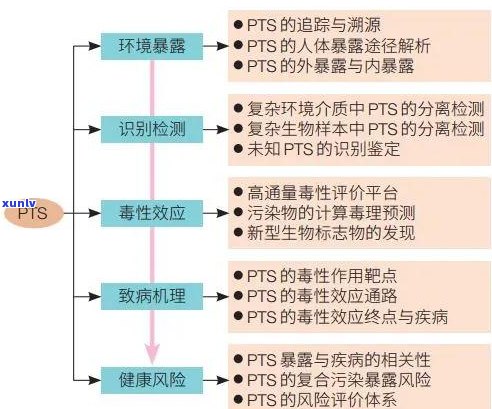 普洱茶降胆固醇：效果、时间及科学依据