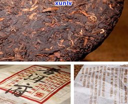 普洱茶：哪里的特产？探究其产地与文化价值