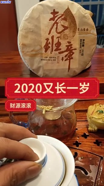 普洱茶原产地何处？寻味最正宗的普洱茶