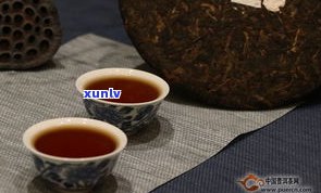 普洱茶原产地何处？寻味最正宗的普洱茶