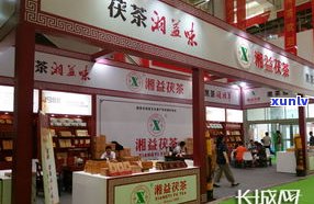 信茂堂茶叶：五大帝王茶叶怎么样？上海实体店地址及价格全览