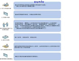 农村信用社有无免息贷款？政策及申请流程全解析