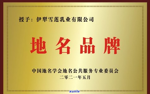 富宁茶叶：品牌、精制厂位置及市场信息全揭秘