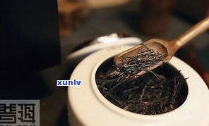 探究普洱茶提取物的作用及其全面功效