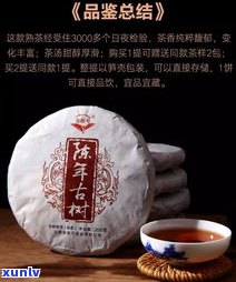 更好的熟普洱茶品牌排行榜：揭秘更受欢迎的品牌