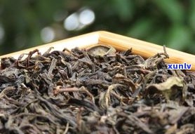 普洱茶老了怎么办-普洱茶老了怎么办才好喝