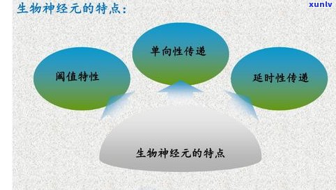 原石和明料的区别：从概念、图片到实例解析