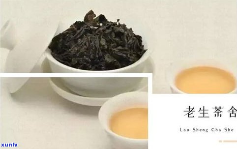 紫芽普洱茶的禁忌-紫芽普洱茶的禁忌和副作用