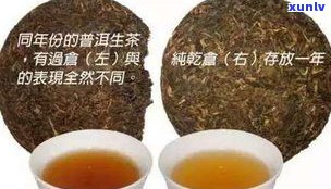 普洱茶生虫子吗？如何判断能否饮用？