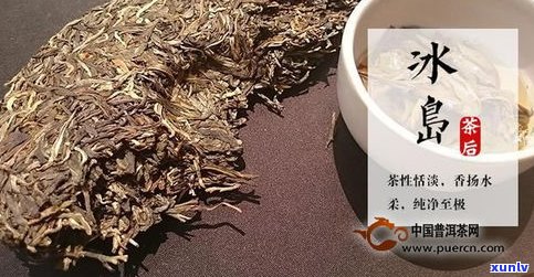 普洱茶价值：如何看好坏、鉴别价格与辨别真伪？