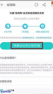 女友欠了十几万网贷：怎样解决及结果分析