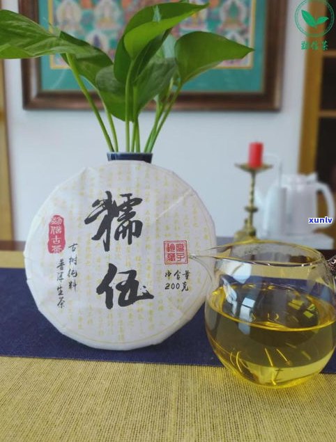 普洱茶价值怎么看-普洱茶价值怎么看好坏