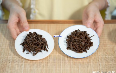 普洱茶春秋茶区分：好坏、种类及鉴别  ，春茶与秋茶的区别与拼配技巧