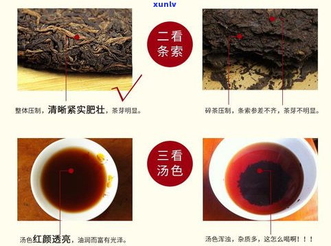 最新勐海古树普洱茶熟茶价格表与图片全览