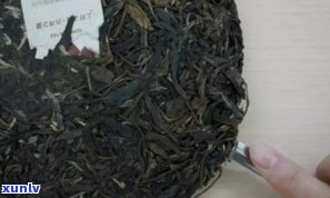 普洱茶撬开是碎的：原因与解决办法