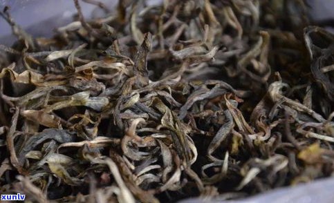 品厚汇大树普洱茶-厚德普洱茶