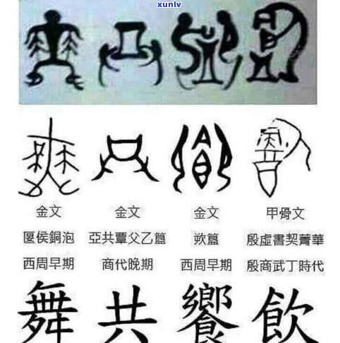 猷君的汉字意义解析：含义与由来