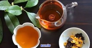 乙肝喝陈皮普洱茶-乙肝喝陈皮普洱茶好吗